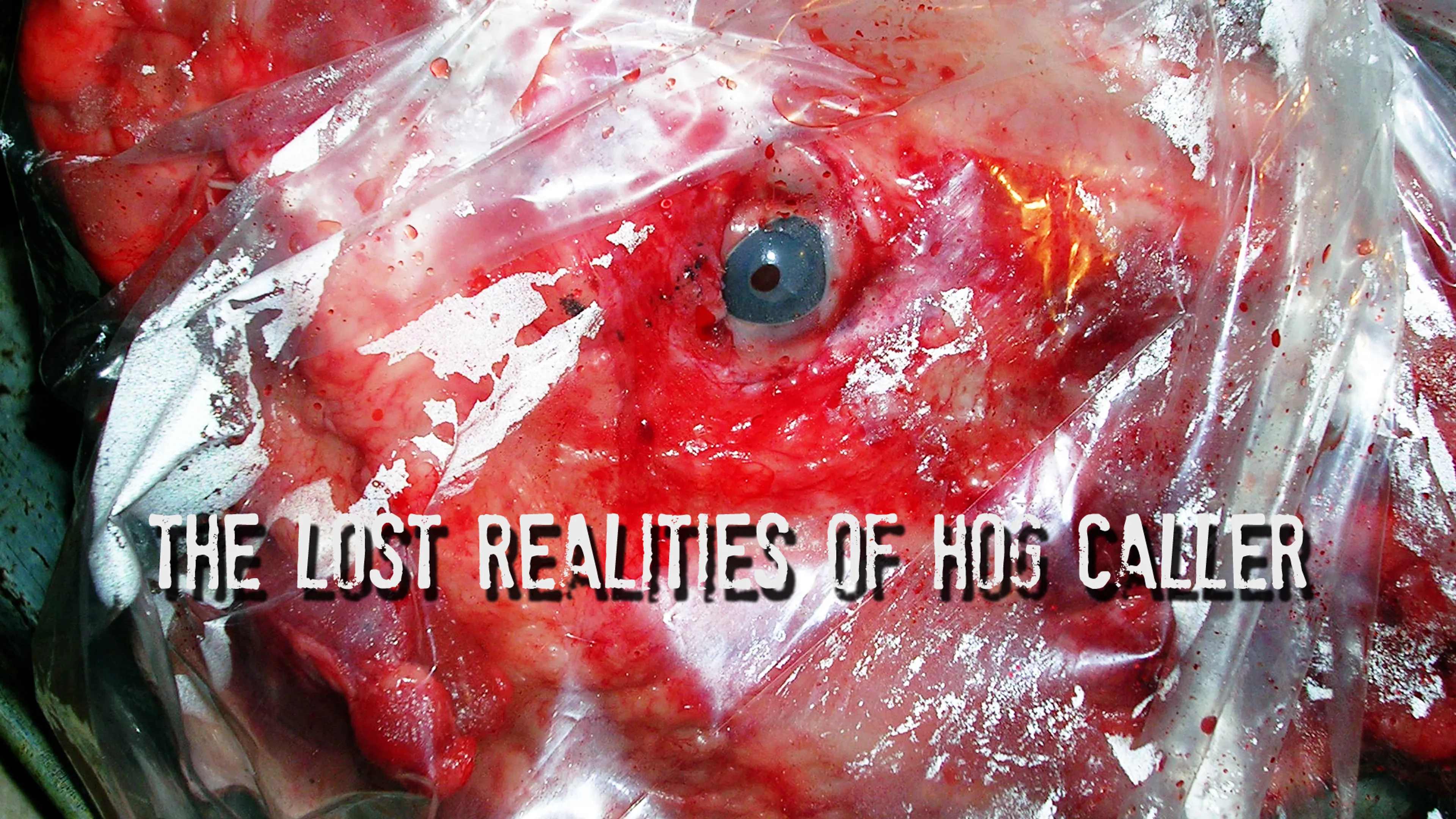 The Lost Realities of Hog Caller poster